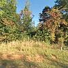 Mobile Home for Sale: 3 Bed 2 Bath 2022 Mobile Home