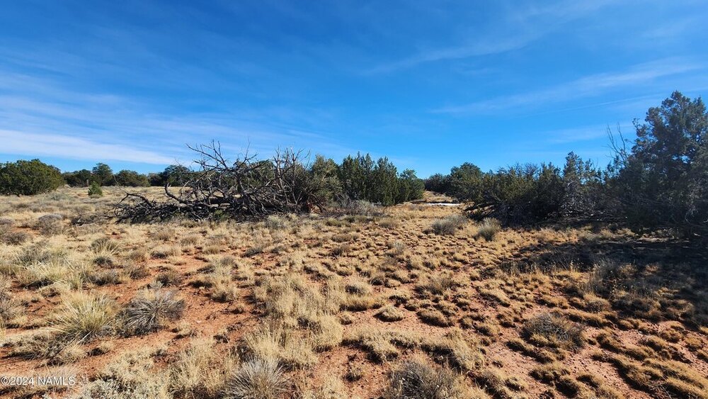 Photo of Mobile Home Lot