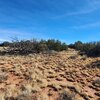 Photo of Mobile Home Lot