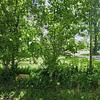 Mobile Home for Sale: 3 Bed 2 Bath 1977 Mobile Home