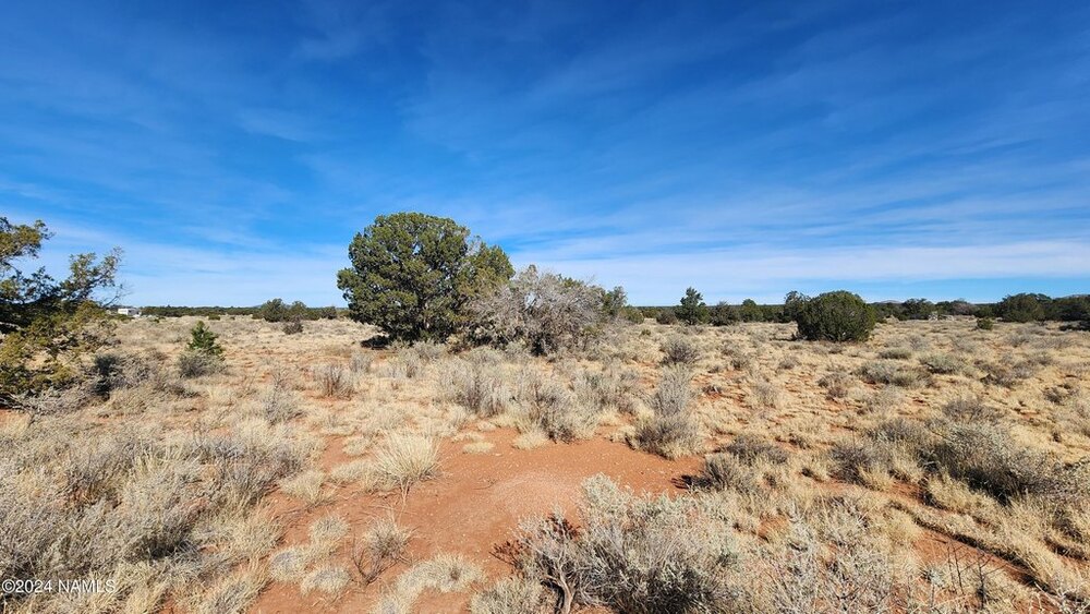 Photo of Mobile Home Lot