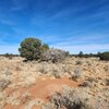 Photo of Mobile Home Lot