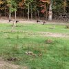 Mobile Home for Sale: Mobile Home, Mobile Home,One Story - Roach, MO, Roach, MO
