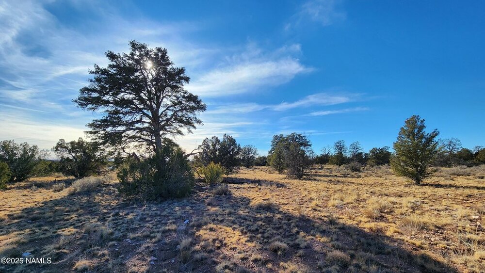 Photo of Mobile Home Lot