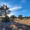 Photo of Mobile Home Lot