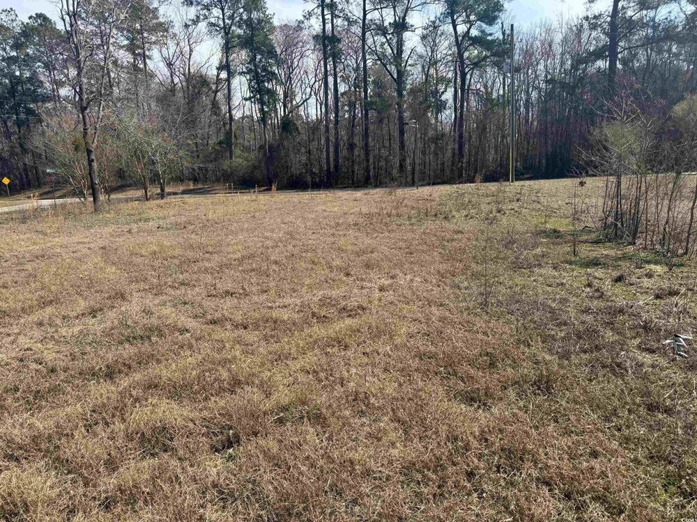 Photo of Mobile Home Lot