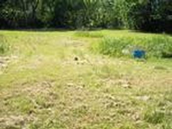 Photo of Mobile Home Lot