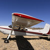 Aircraft for Sale: 1981 Cessna A185F Skywagon II