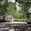 Driveway Under Grand-daddy Oak Tree