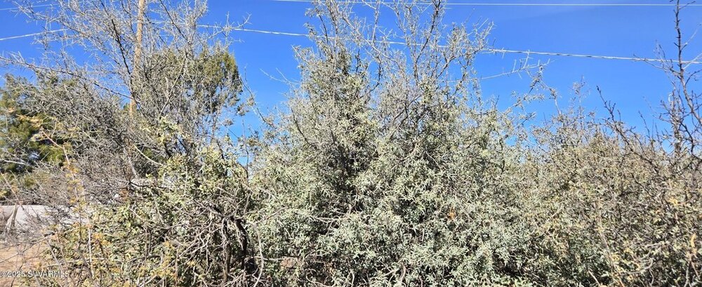 Photo of Mobile Home Lot