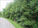 Photo of Mobile Home Lot