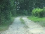 Photo of Mobile Home Lot