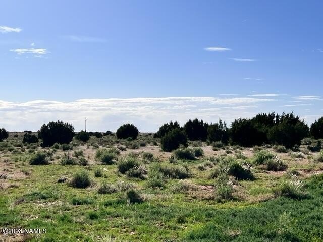 Photo of Mobile Home Lot