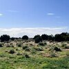 Photo of Mobile Home Lot