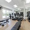 IMG 0013