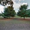 Mobile Home for Sale: 1996 Mobile Home