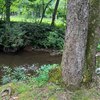 Photo of Mobile Home Lot