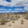 Photo of Mobile Home Lot