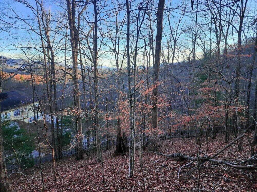 Photo of Mobile Home Lot