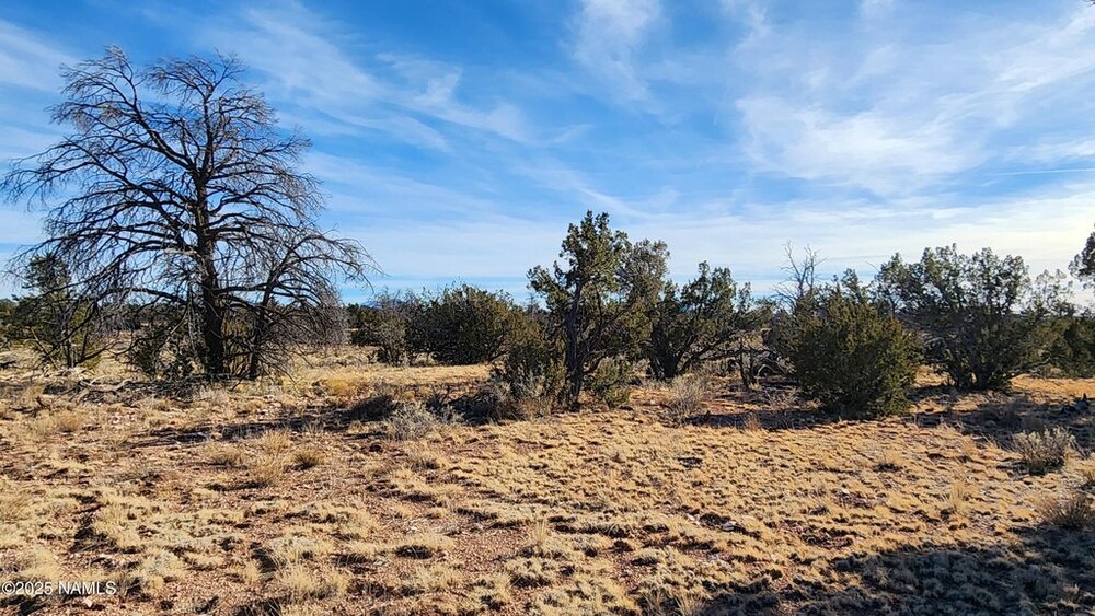 Photo of Mobile Home Lot