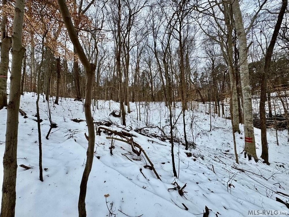 Photo of Mobile Home Lot