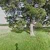 Mobile Home for Sale: 1985 Mobile Home