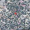 Mobile Home for Sale: 1982 Mobile Home