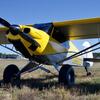 Aircraft for Sale: 2010 Cubcrafters Carbon Cub SS
