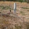 Photo of Mobile Home Lot