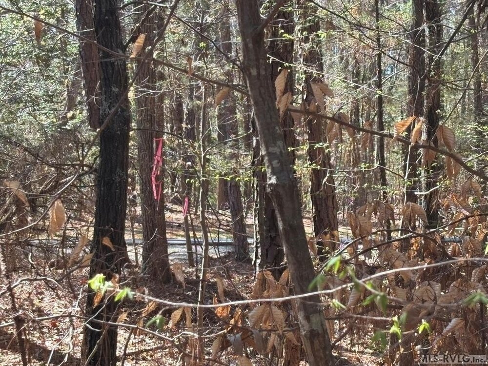 Photo of Mobile Home Lot
