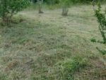 Photo of Mobile Home Lot