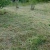 Photo of Mobile Home Lot