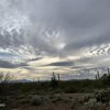 Photo of Mobile Home Lot