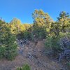 Photo of Mobile Home Lot