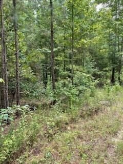 Photo of Mobile Home Lot