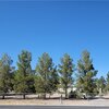 Mobile Home for Sale: One Story, Manufactured Home - Pahrump, NV, Pahrump, NV