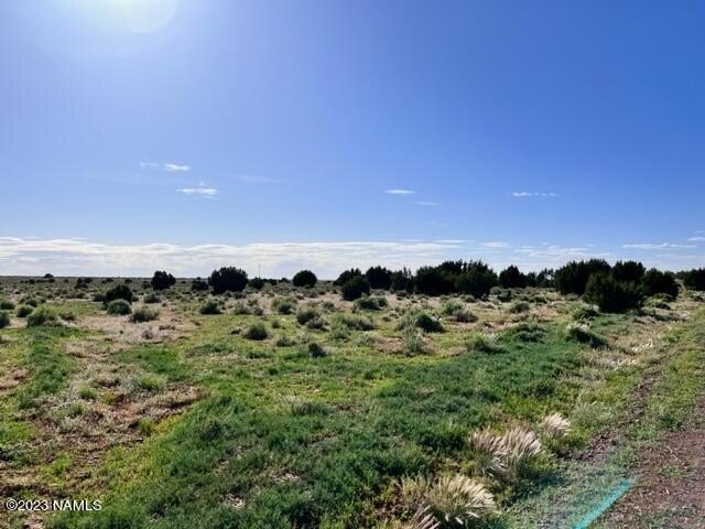 Photo of Mobile Home Lot
