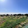 Photo of Mobile Home Lot