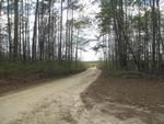 Photo of Mobile Home Lot