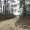 Mobile Home Lot for Sale: VA, RUTHER GLEN - Land for sale., Ruther Glen, VA