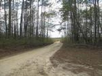 Photo of Mobile Home Lot