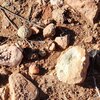 Photo of Mobile Home Lot
