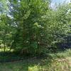 Mobile Home for Sale: 4 Bed 2 Bath 2004 Mobile Home