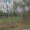 Mobile Home for Sale: Mobile Home