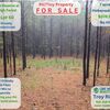 RV Lot for Sale: Attention nature lovers and future dream home builders! , Hohenwald, TN