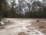 Photo of Mobile Home Lot