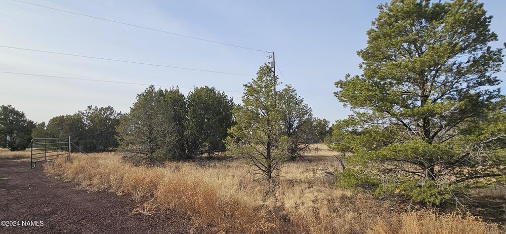 Photo of Mobile Home Lot