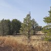 Photo of Mobile Home Lot