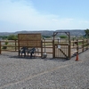 Dog Park