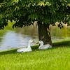 Mobile Home Park: Country Meadows Village, Caledonia, MI